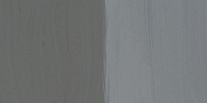 Neutral Gray 4