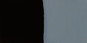 Ivory Black