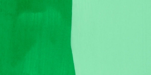 Japanese Green Light