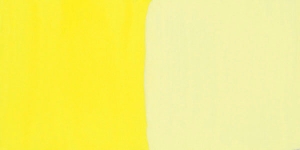 Persian Yellow Lemon