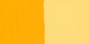 Persian Yellow Medium