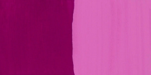 Tyrian Rose