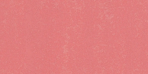 Salmon Pink