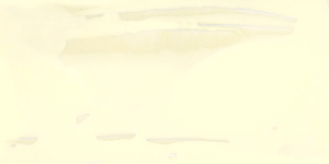 Brilliant Yellow Extra Pale