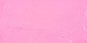 Dianthus Pink