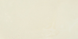 Neutral White
