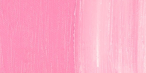 Dianthus Pink