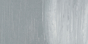 Neutral Gray Medium