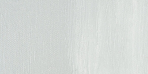 Neutral Gray Pale