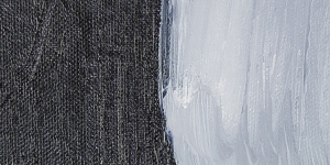 Payne's Gray