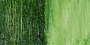 Sap Green