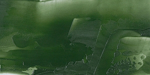 Vagone Green Earth