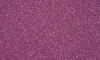 Fierce Fuchsia