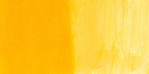 Cadmium Yellow Medium