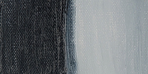 Payne's Gray