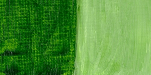 Permanent Sap Green