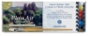 Plein Air Landscape Set