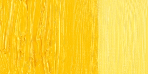 Senegal Yellow
