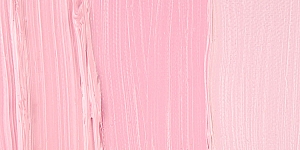 Dianthus Pink