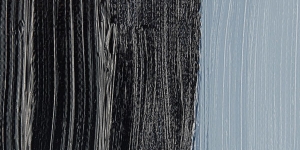 Payne's Gray