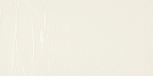 Warm White