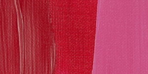 Chapel Rose