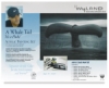 Wyland Great White Whale Tail Painting Kit