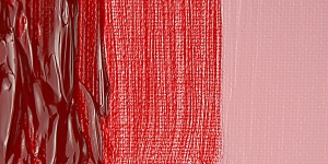 Rose Doré Extra