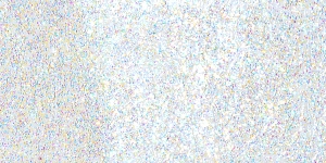 Hologram Pearl