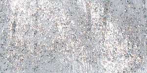 Hologram Silver