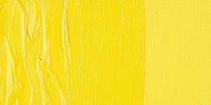 Primary Yellow