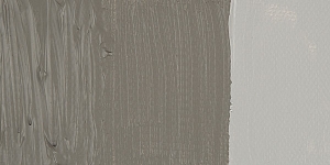Middle Gray