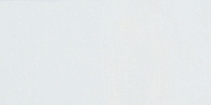 Zinc White