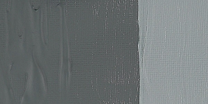 Neutral Gray