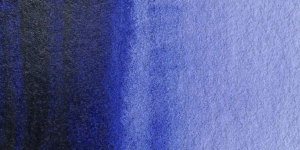 Blue Lavender