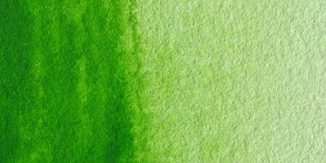 Light Hooker Green