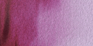 Red Violet