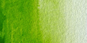 Sap Green