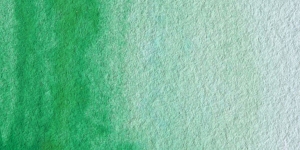 Veronese Green
