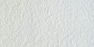 Chinese White