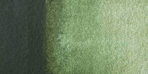 Hooker's Green