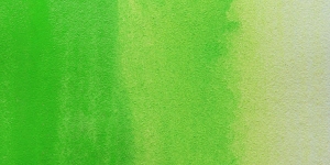 Permanent Green Pale