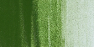 Hooker's Green