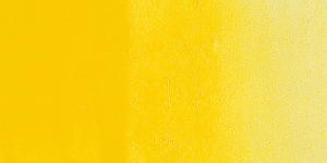 Primary Yellow