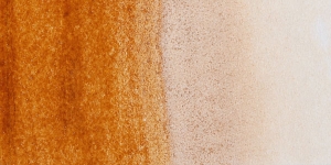 Transparent Mars Brown