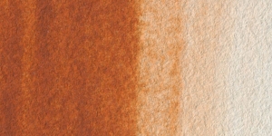 Burnt Sienna