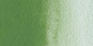 Chromium Oxide Green