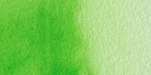 Permanent Yellow Green