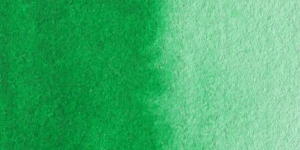 Permanent Green