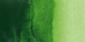 Sap Green